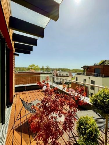 Modernes Ferienhaus mit Kamin und Sauna am Altdorfer See Hunde sind herzlich Willkommen