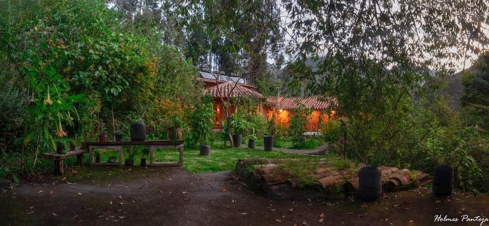 Birds Hotel Molino