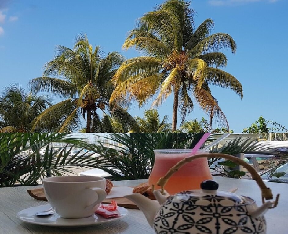 Apartment With One Bedroom In Lamentin With Wonderful Mountain View Furnished Garden And Wifi