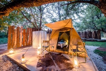 Kruger Bush Camp
