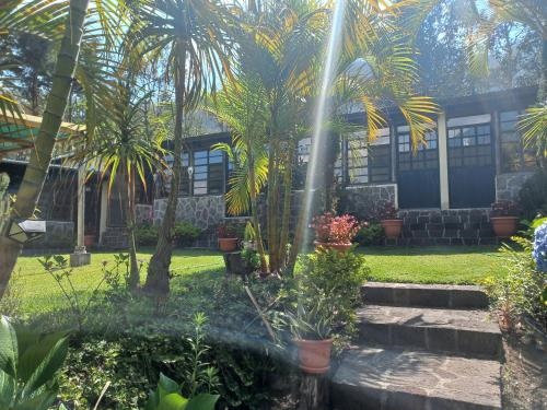 Hotel Y Bungalows Ecologicos Marcelo