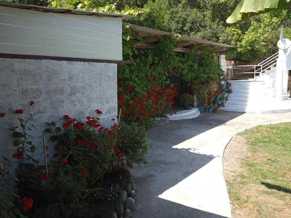 Guest house Rechnaya 6