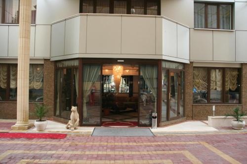 Dolphin Hotel
