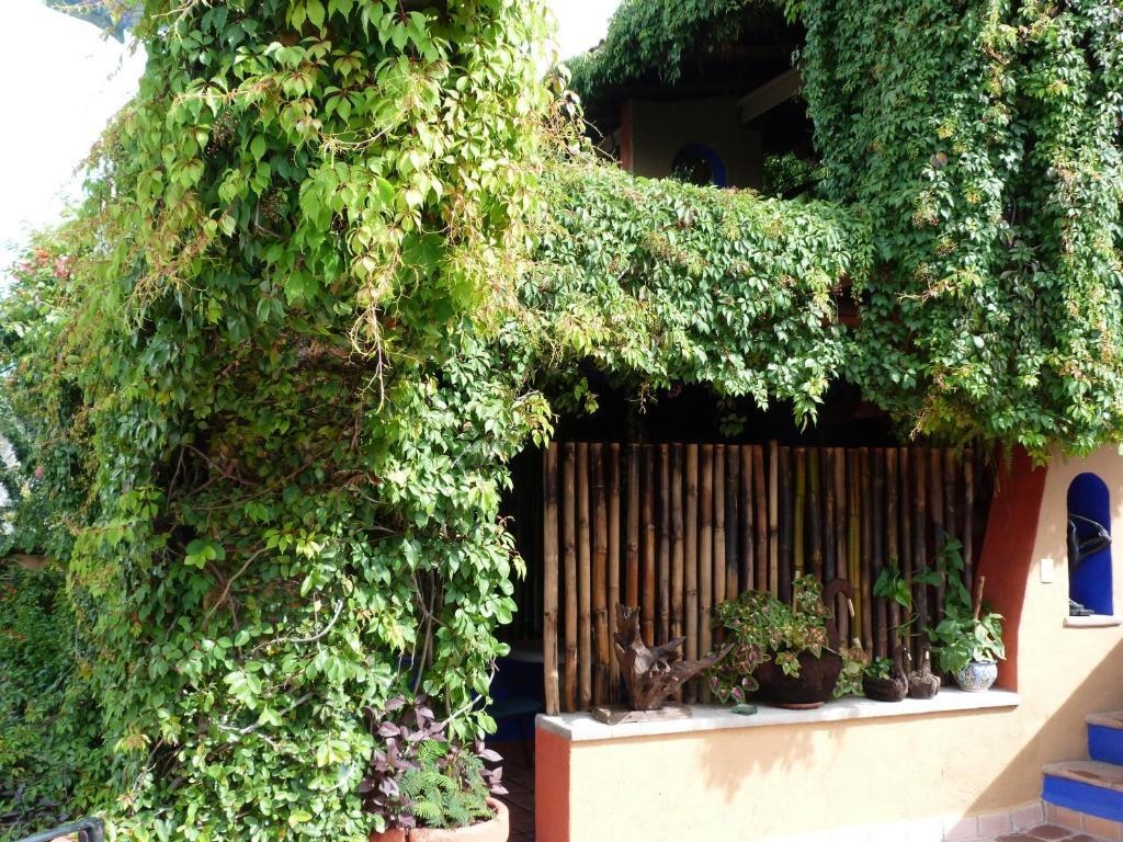 La Casa Del Guamúchil