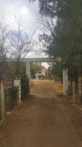 Poneloya
