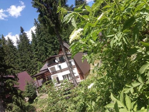 Apartments Zera