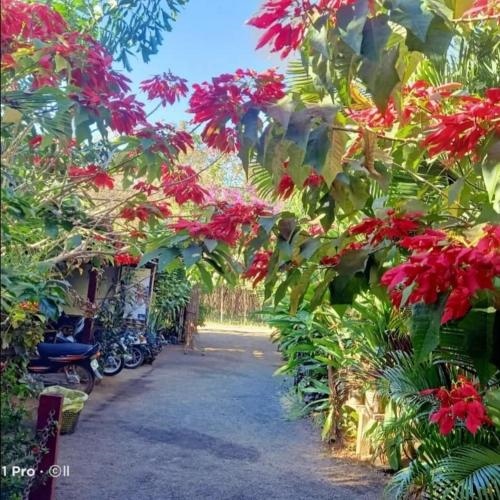 Tribal Village Homestay