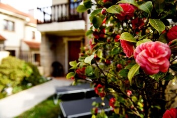 House Las Camelias Somo