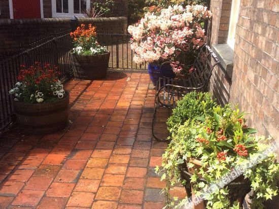 The Library House B&B (Adults Only)