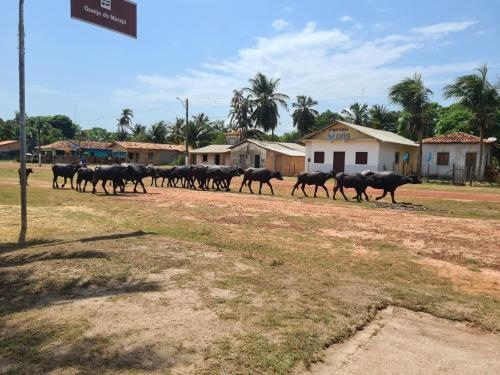 Hospedagem e queijaria Peua