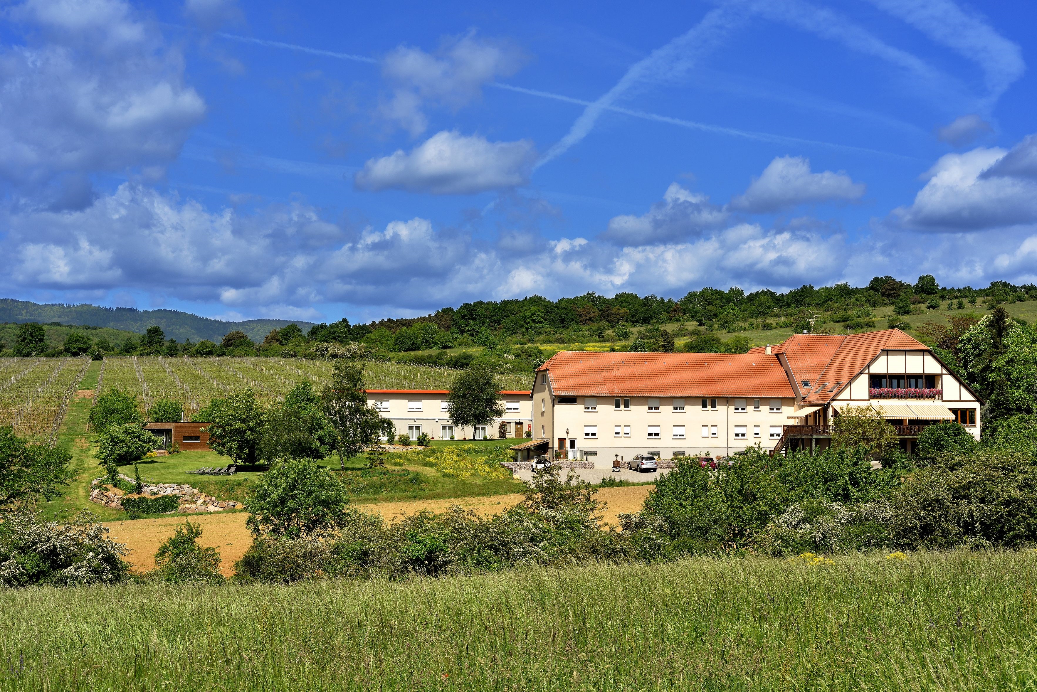 Hotel du Bollenberg