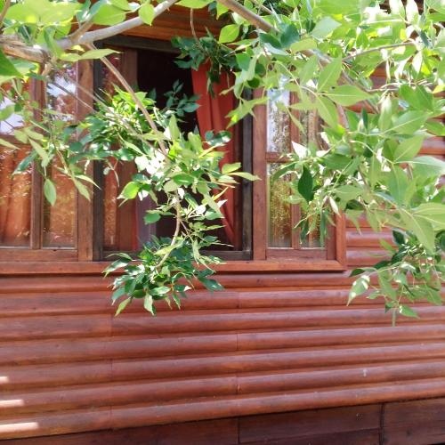 Cabana Los Cardenales