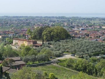 Agriturismo Monteverde Azienda Agricola di Fibbi Ceroni Anna Maria