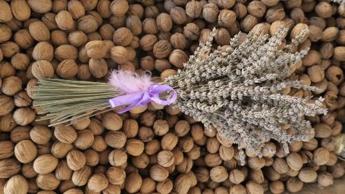 Noz Por Ca... Turismo Em Espaco Rural