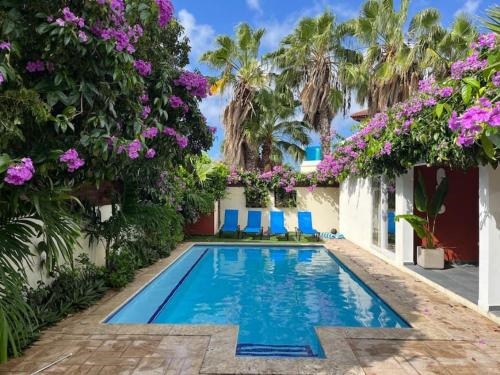 Best Villa at a TOP location