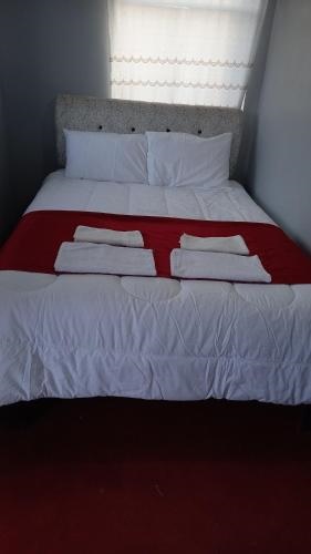 Alberto homestay taypi qamana establo