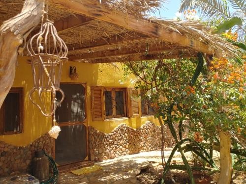 Jillyfish House Lighthouse Area Central Dahab