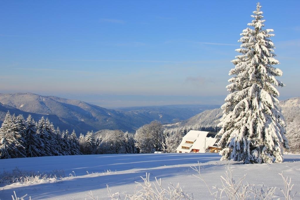 IB Skiinternat Furtwangen