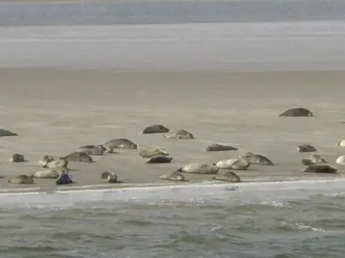 Das GrachtenDOMiZiL Greetsiel