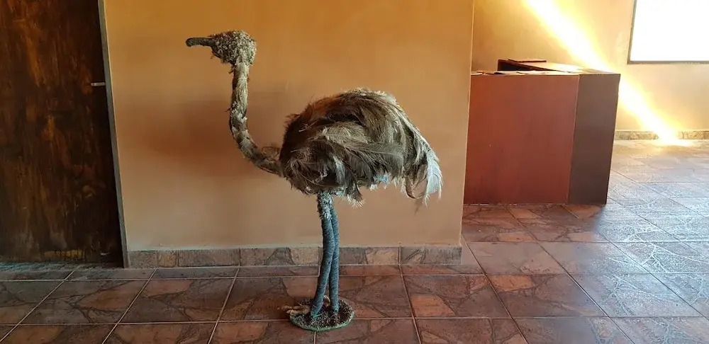 Hosteria Complejo Pucara