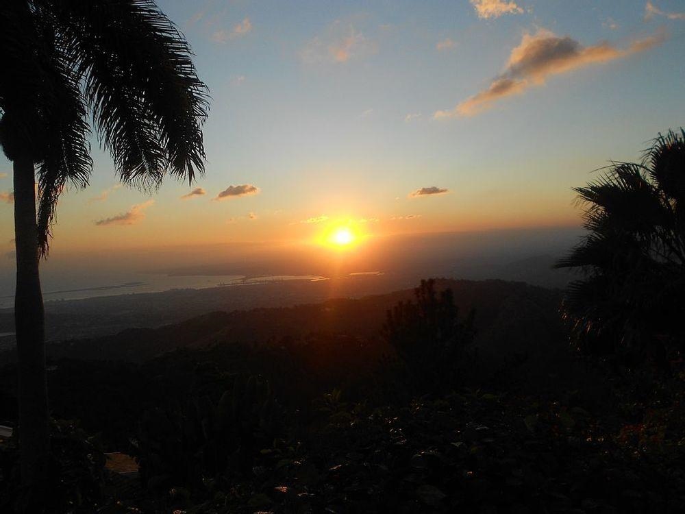 Blue Mountain Big Cottage with Loft