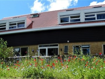 Appartement en Pension De Vlindertuin-Ameland