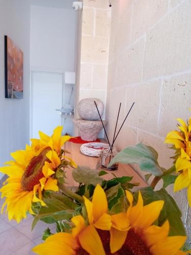 B&B Arzeria