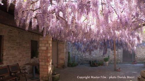 Agriturismo Furfullanu