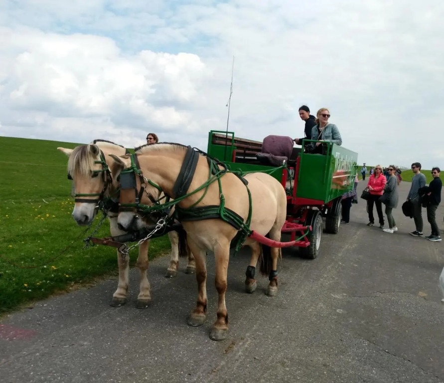 5-Sterne Ferienwohnung-Treeneblick