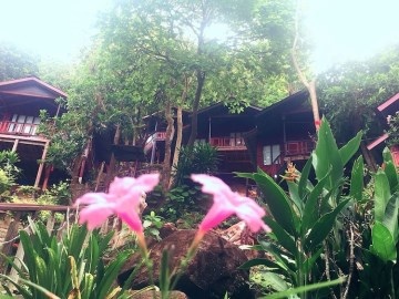 Maney Resort