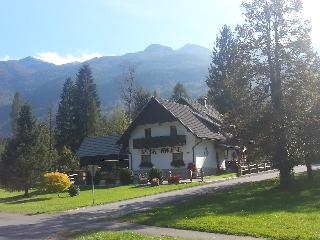 Apartmaji Alp Bohinj