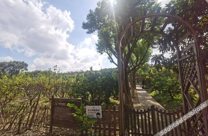 UrCove by Hyatt Shanghai Dishui Lake