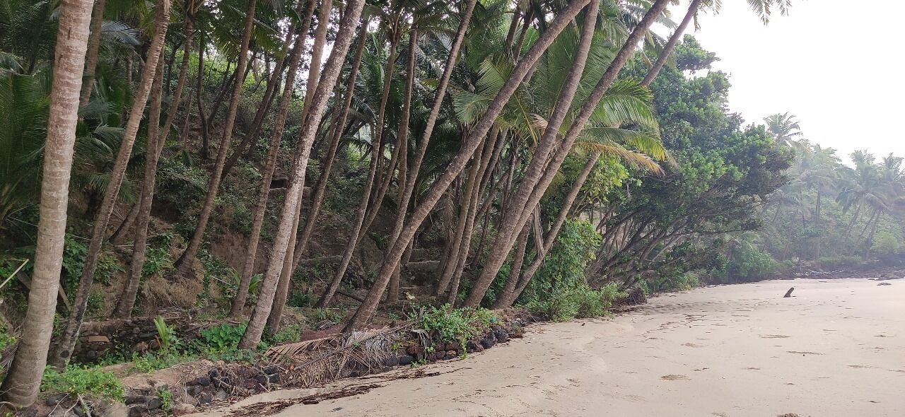 Belantara Beach Front Resort