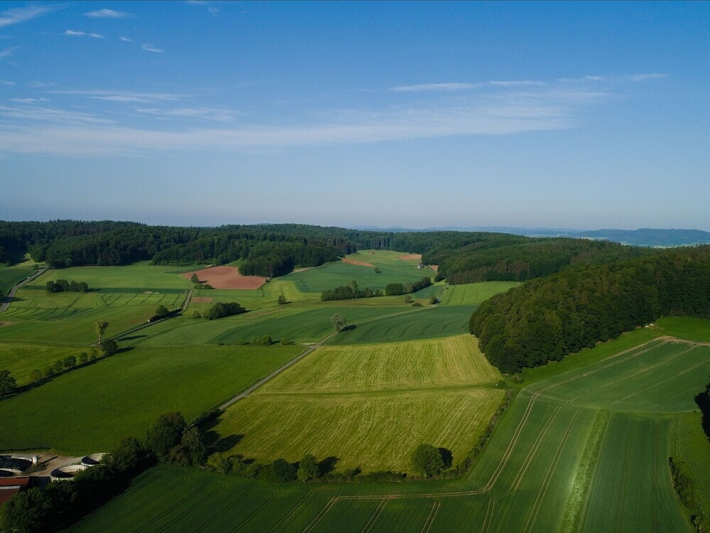 Group Retreat in Hesse