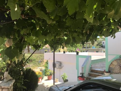 Feti Xhone Apartment