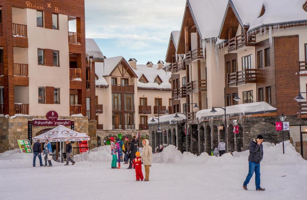 New Gudauri Alpic 406