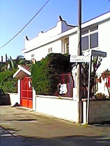 B&B Camelie