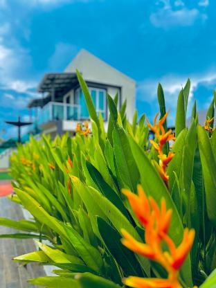 Tijami Villa & Resort