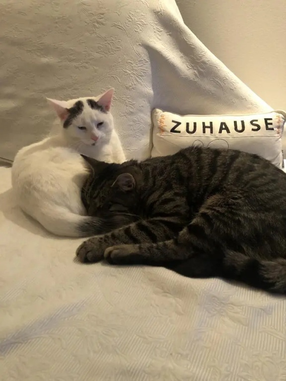 Stilvoll Urlaub machen!