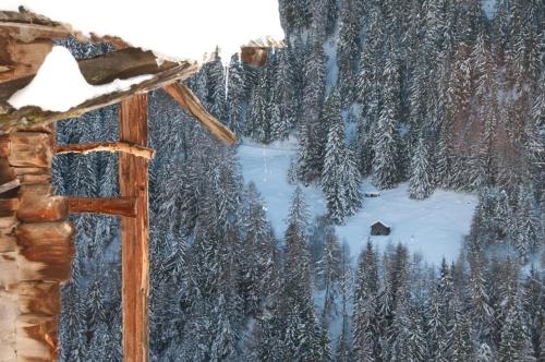 Plein Ciel LUXE & MOUNTAIN apartments