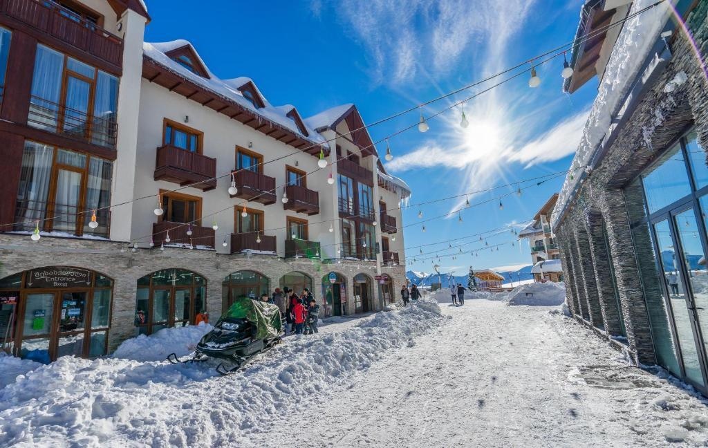 New Gudauri Alpic 309