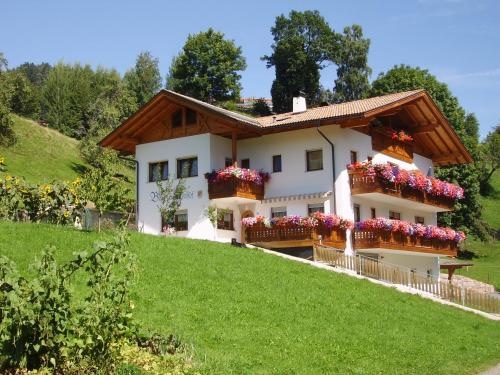 Boznermullerhof - Geranie