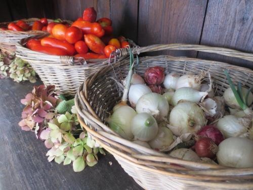 Casa Rondini, organic farm