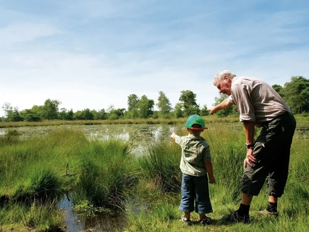 Likeable Chalet with Terrace near Oisterwijkse Vennen