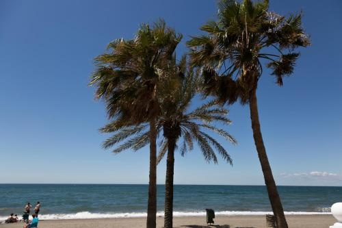 Apartamento Solarium