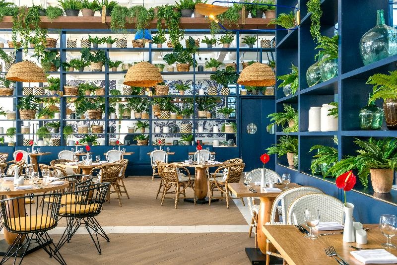 El Beso Adults Only At Ocean Riviera Paradise - All Inclusive