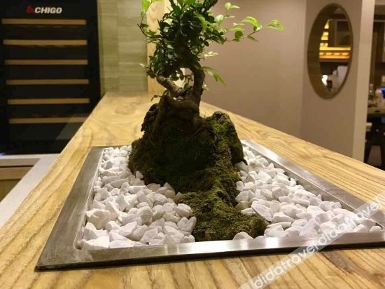 Valley Flowers Memory Phoenix Ancient City