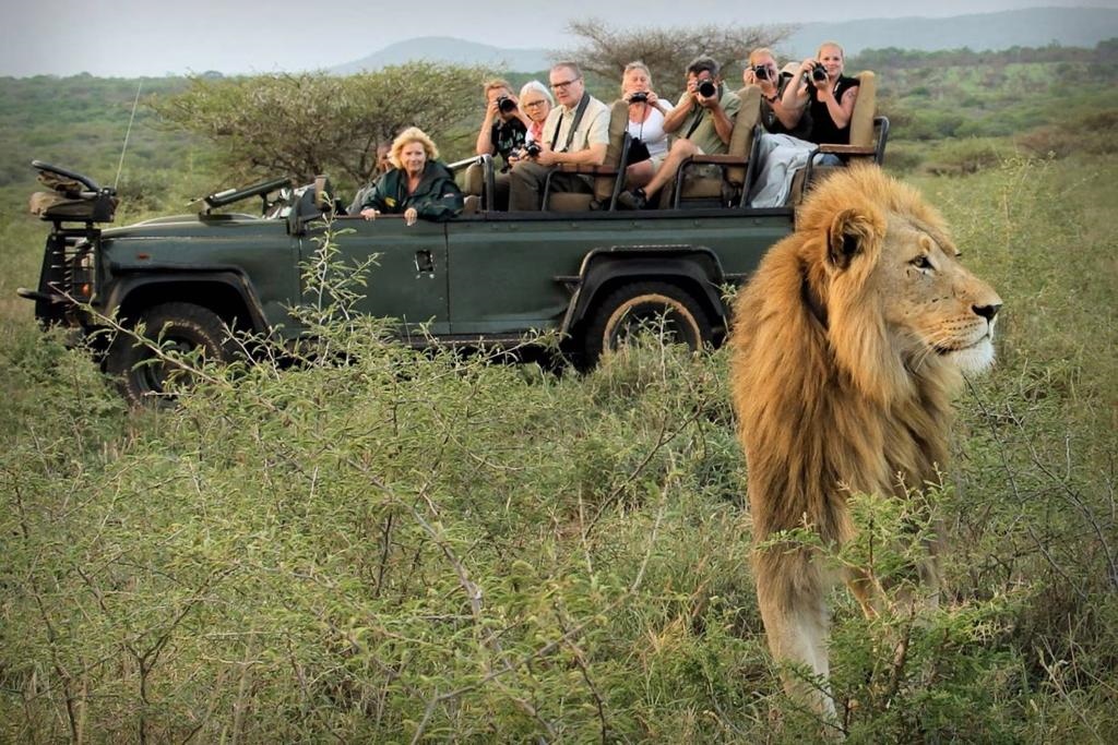 Jumeirah Thanda Safari