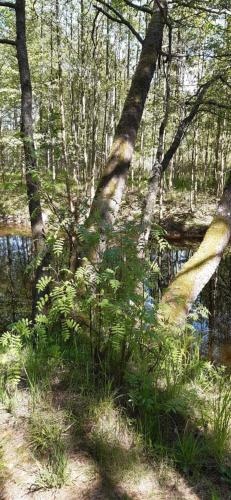 Guest House Nearby Sea