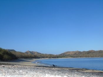 Hotel Jinesta Conchal